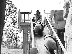 Baby GIF. Baby Ruimte Gifs Dans Gelukkig Aanbiddelijk Rotoscope Schattig 3 jaar oude is erg blij om 