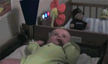 Dieren Liefde Schattig Puppy Baby Laboratorium Gifs Hond likken 