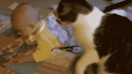 Baby Eekhoorn Gifs 