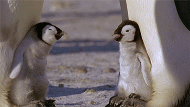 Snoep Baby Gifs uit zoals het nemen 