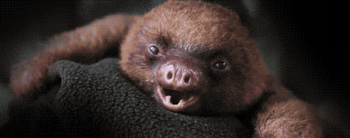 Bang Baby Zwembad Gifs bange 
