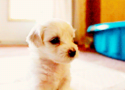 Baby GIF. Verward Baby Gifs Zeggen wat Huh Verandering 