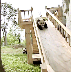 Baby GIF. Baby Gifs Gelukkige verjaardag Freecocaine Ava gardner 