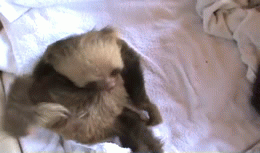 Baby GIF. Muziek Baby Gifs Muziekvideo Mgmt 