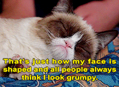 Baby GIF. Baby Engel Prinses Gifs Miss een Jia Gif: missen Ik bracht 80 jaar het verplaatsen 