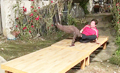 Baby GIF. Ijs Baby Sneeuw Gifs Kind Kleuter Schattige baby Grappige kinderen 
