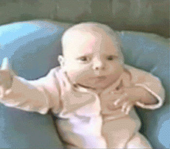 Dieren Olifant Baby Gifs obligatie moeder gebouw 