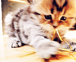 Baby GIF. Baby Gifs Vrolijkheid Blaine anderson 