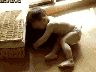 Dieren Olifant Baby Gifs bal 