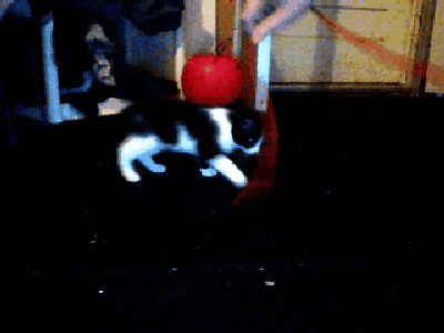 Baby Ruimte Gifs dans gelukkig aanbiddelijk rotoscope Schattig 3 jaar oude is erg blij om 