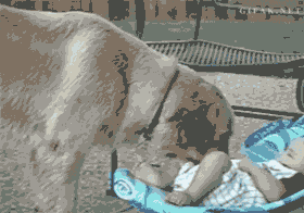 Baby GIF. Vallen Baby Rick Gifs Cartoons en comics Avontuur tijd Cartoon network Bmo Zeepbel Moed 