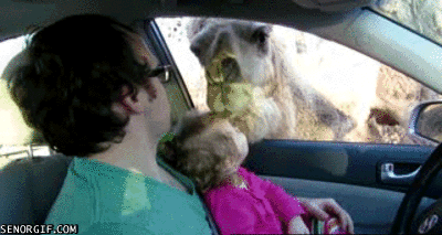 Liefde Baby Gifs gif perfect &eacute;&eacute;n richting harry stijlen 1d &eacute;&eacute 