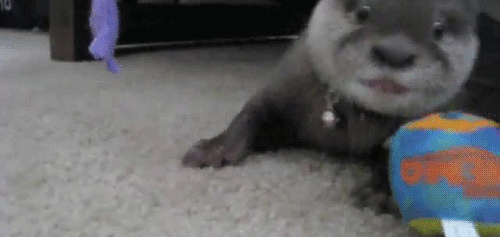 Baby Engel Prinses Gifs miss een jia gif: missen Ik bracht 80 jaar het verplaatsen 