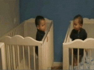 Baby GIF. Dieren Schattig Baby Egel Gifs Gapende Geeuw Buikkriebels 