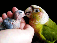 Baby GIF. Disney Tarzan Film Baby Gifs Jeugd Disney film 