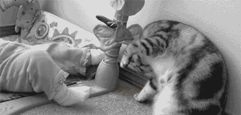 Dieren Baby Verpleging Gifs voeden 