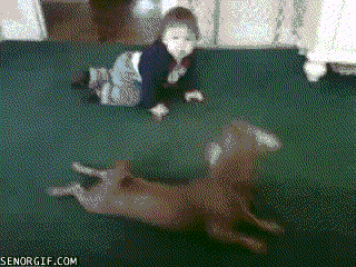 Baby Gifs de onze Candice Accola 