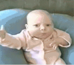 Olifant GIF. Dieren Olifant Baby Gifs Gelukkig 