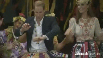 Dieren Baby Leeuw Gifs partij zo hongerig hes slechts een kleine zebra leeuw probeert bab 