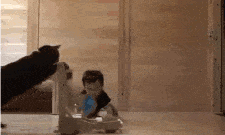 Baby Engel Prinses Gifs miss een jia gif: missen Ik bracht 80 jaar het verplaatsen 