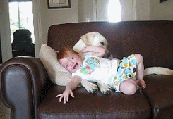 Baby GIF. Baby Gifs Shaytards Rocktard Pdp 