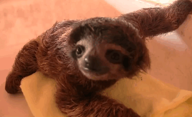Tien Baby Tv Gifs heet arts die David Tennant tiende arts dw tennant Hij is zo schatti 