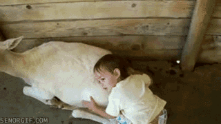 Jongen Muziek Baby Haar Zwart Gifs glimlachen kellin quinn 