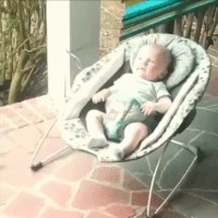 Dieren Liefde Schattig Baby Gifs Hond likken 