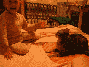 Baby GIF. Ijs Baby Gifs Uitglijden 