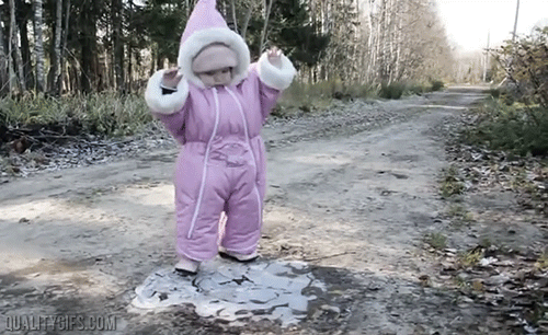 Dieren Panda Baby Gifs dragen 