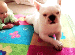 Baby GIF. Baby Engel Prinses Gifs Miss een Jia Gif: missen Ik bracht 80 jaar het verplaatsen 