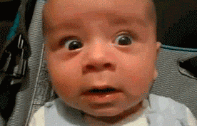 Baby GIF. Eenden Water Baby Gifs Glijbaan 