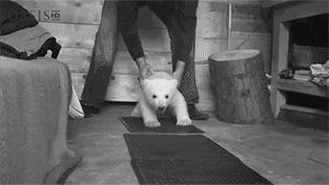 Baby GIF. Baby Gifs Dragen Conan 