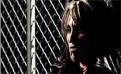 Baby GIF. Dieren Baby Leeuw Gifs Partij Zo hongerig Hes slechts een kleine zebra Leeuw probeert bab 