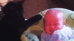 Baby GIF. Baby Gifs Luiaard Heiligdom Ricaanse Costa 