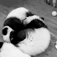 Baby GIF. Baby Gifs Gelukkige verjaardag Freecocaine Ava gardner 