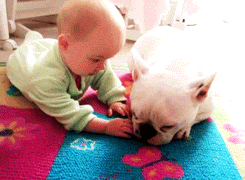 Baby GIF. Schattig Baby Sexy Gifs  &eacute;&eacute;n richting Louis tomlinson Zayn malik Liam payne 