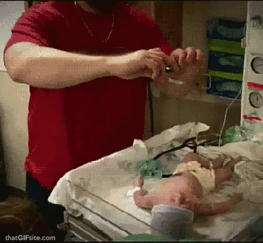 Dieren Baby Kat Springend Gifs geanimeerde aanval verdienden 