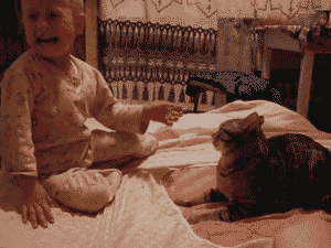Olifant GIF. Dieren Olifant Baby Gifs Moeite 
