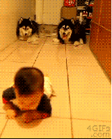 Baby GIF. Katten Baby Kat Gifs Vliegend 15folds Daddy November2012 Superheros Ustwo 
