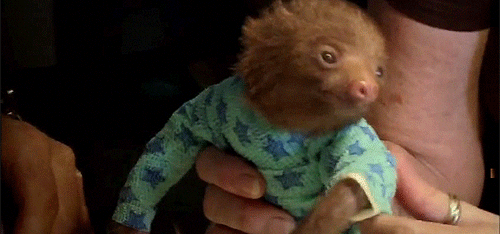 Baby Gifs parken en rec 