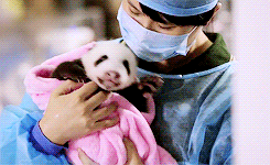 Baby GIF. Tien Baby Gifs Heet A Arts die David tennant Tiende arts Dw Hij is zo schattig Dw cast 