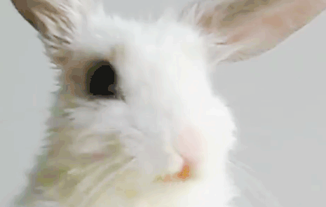 Muziek Artiesten Beyonce Baby Gifs animatie celebs nieuws gif animatie overheersing highdef carto 