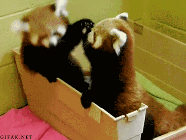 Baby Gifs  lachend vallend Aziaat wet school voorjaarsvakantie 1l lawblr moe gif kort 