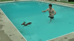 Baby GIF. Baby Engel Prinses Gifs Miss een Jia Gif: missen Ik bracht 80 jaar het verplaatsen 