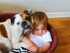 Baby GIF. Baby Gifs Kardashian Kendall jenner Kuwtk 