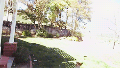 Baby GIF. Baby Gifs Gelukkige verjaardag Freecocaine Ava gardner 