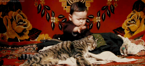 Baby Kat Gifs 