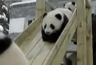 Ijs Baby Sneeuw Gifs kind kleuter schattige baby grappige kinderen 