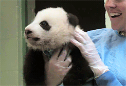 Baby GIF. Baby Star trek Gifs  Zoet Star trek into darkness Jim kirk Captain kirk James kirk Idst 
